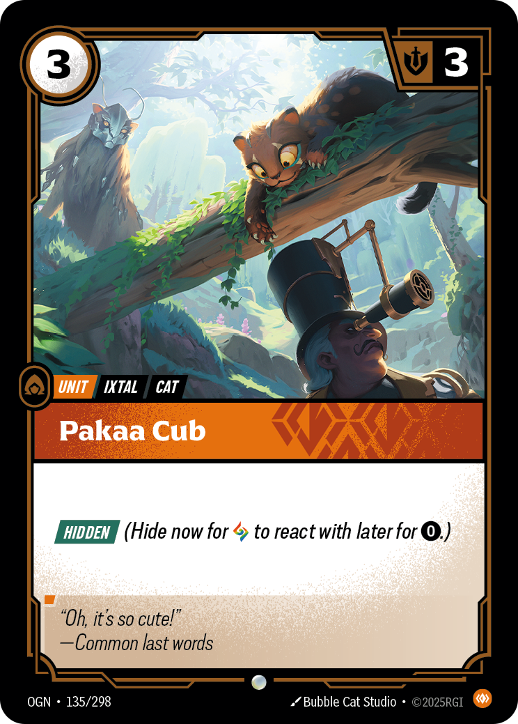帕卡幼豹 / Pakaa Cub