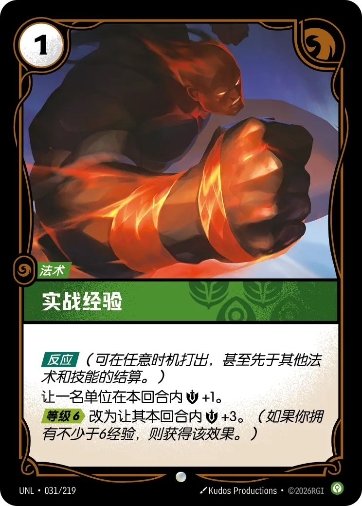 實戰經驗 / Combat Experience